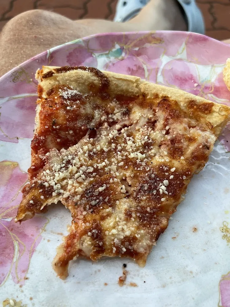 Plain Cheese Pizza with Extra Sauce
